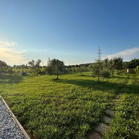 Dora House With Wifi And Outdoor Swimming Pool Pula